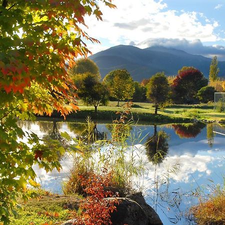 Dreamers Mount Beauty Exteriör bild