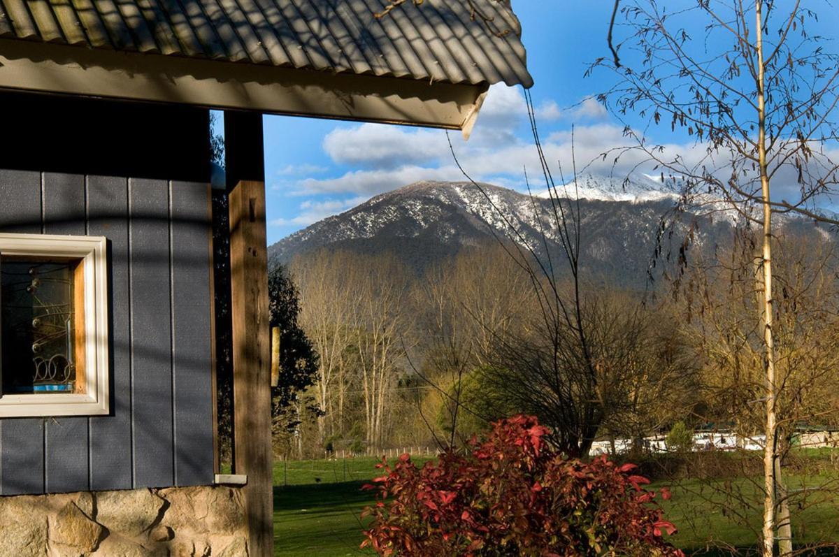 Dreamers Mount Beauty Exteriör bild